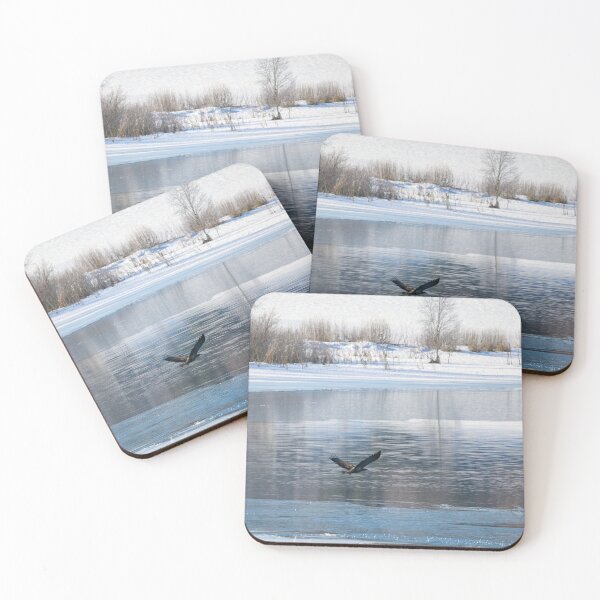 Item preview, Studies of the lake. White-tailed eagle designed and sold by Jouko Lehto Photography.