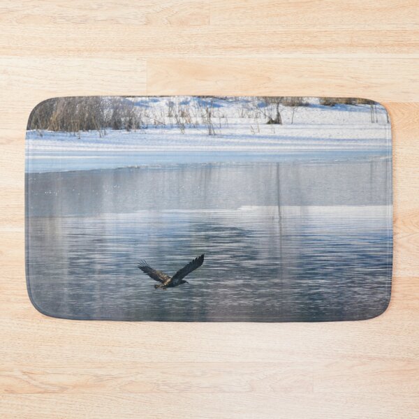 Artikelvorschau, Studien zum See. Seeadler entworfen und verkauft von Jouko Lehto Photography.