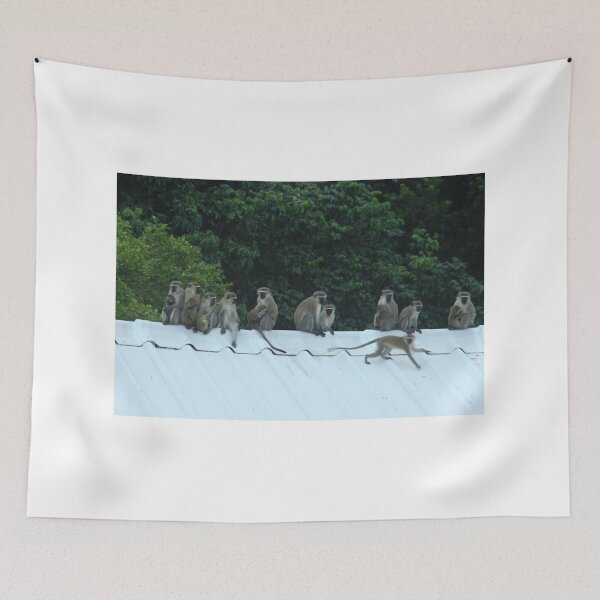 Item preview, Familia de monos en el tejado. designed and sold by Jean-Marie Heyman.