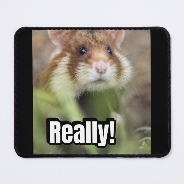 Item preview, Hamster Really designed and sold by kripalsutariya.
