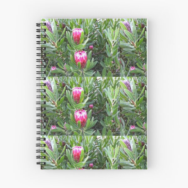 Item preview, Pretty Protea Flowers designed and sold by Freshstar1.