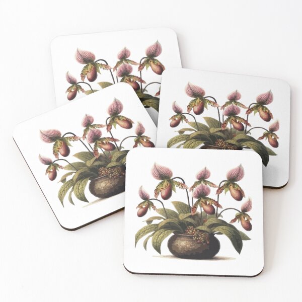 Item preview, Paphiopedilum Stonei (Orquídea) designed and sold by printmala.