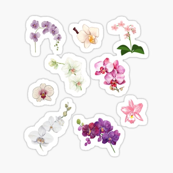 Item preview, orchid flowers set pack designed and sold by VonLogaart.