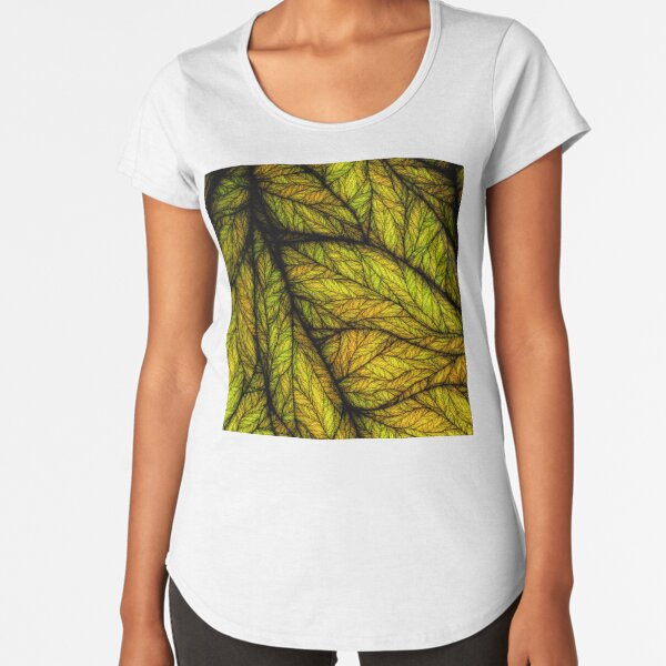 Rogues Gallery 6 Premium Scoop T-Shirt