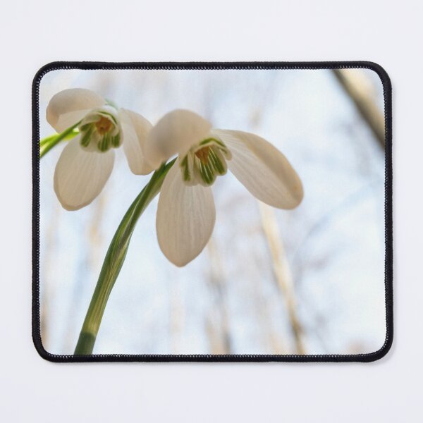 Item preview, Snowdrops in forest designed and sold by CameliaC.
