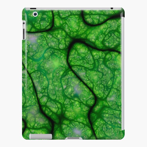 Rogues Gallery 8 iPad Snap Case
