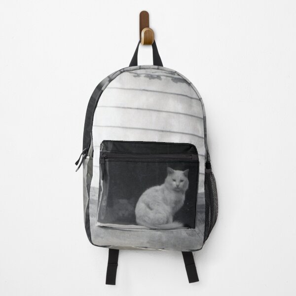 Item preview, Vintage Cats in Window - Portsmouth New Hampshire 1949 designed and sold by BGPickers.