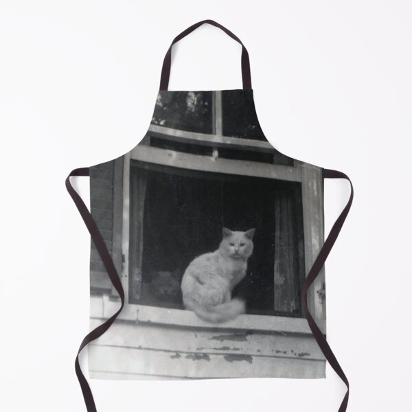 Item preview, Vintage Cats in Window - Portsmouth New Hampshire 1949 designed and sold by BGPickers.