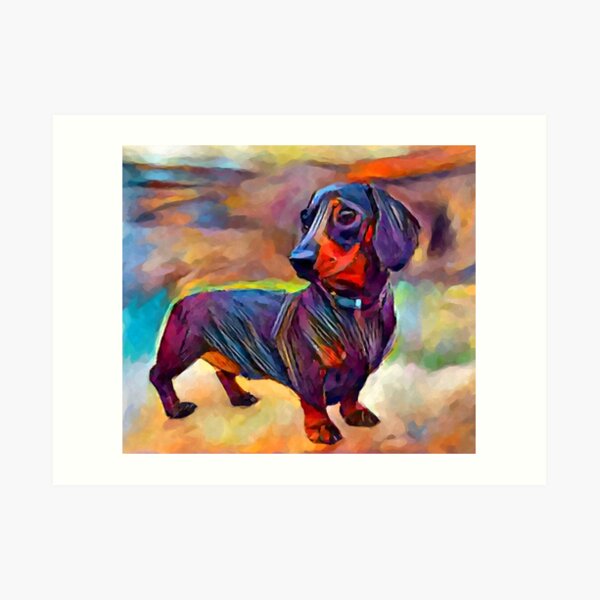 Dachshund Art Print
