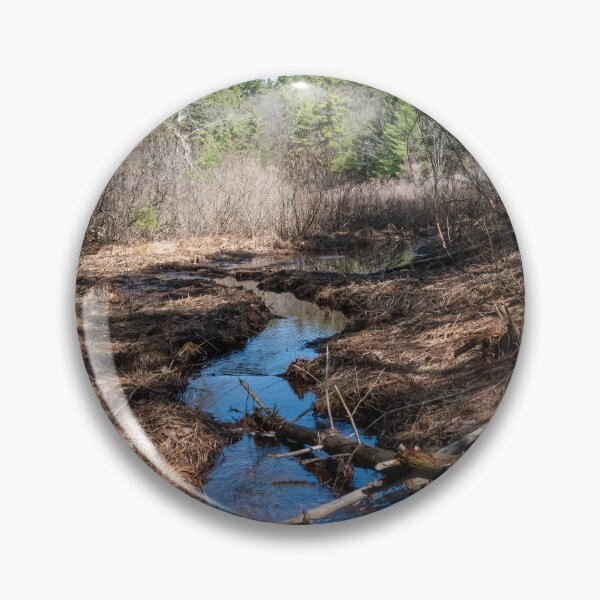 Item preview, Stream Winding Through Hardy Lake Provincial Park, Gravenhurst, Ontario designed and sold by jrtwynam.
