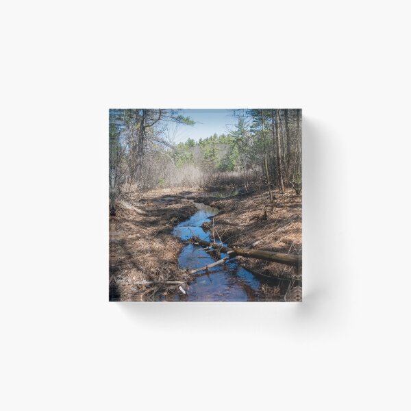 Item preview, Stream Winding Through Hardy Lake Provincial Park, Gravenhurst, Ontario designed and sold by jrtwynam.