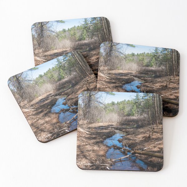 Item preview, Stream Winding Through Hardy Lake Provincial Park, Gravenhurst, Ontario designed and sold by jrtwynam.