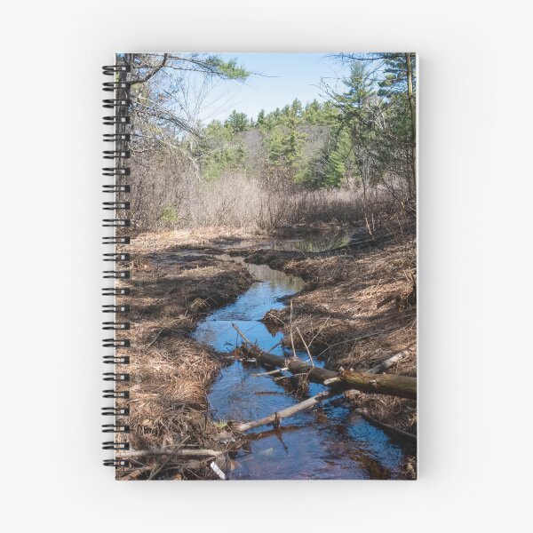 Item preview, Stream Winding Through Hardy Lake Provincial Park, Gravenhurst, Ontario designed and sold by jrtwynam.