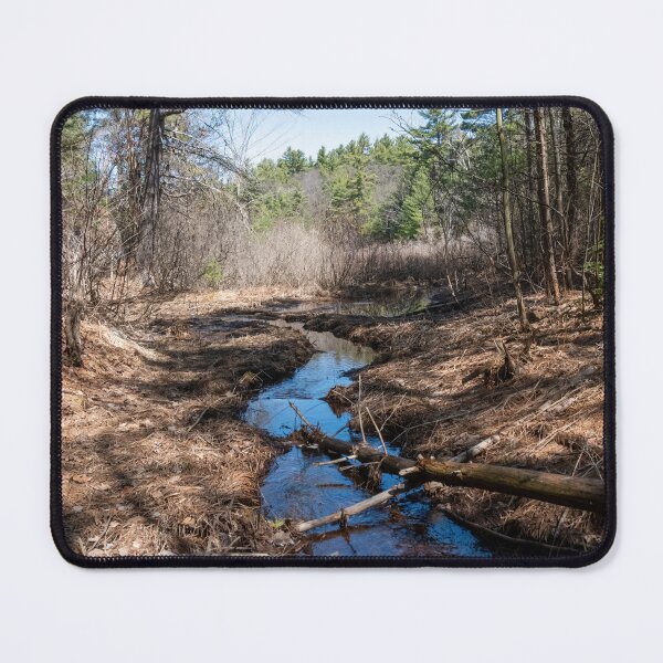 Item preview, Stream Winding Through Hardy Lake Provincial Park, Gravenhurst, Ontario designed and sold by jrtwynam.
