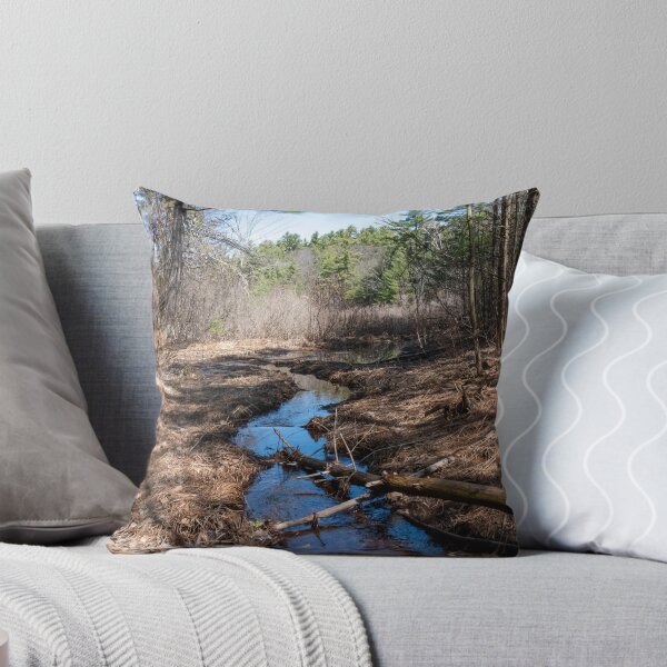 Item preview, Stream Winding Through Hardy Lake Provincial Park, Gravenhurst, Ontario designed and sold by jrtwynam.