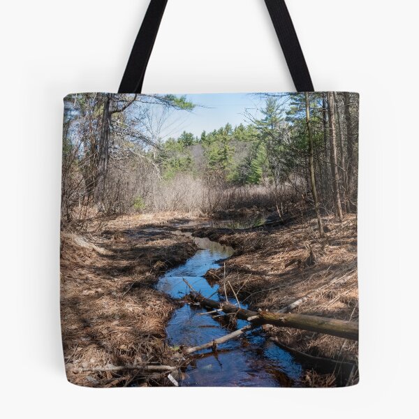 Item preview, Stream Winding Through Hardy Lake Provincial Park, Gravenhurst, Ontario designed and sold by jrtwynam.