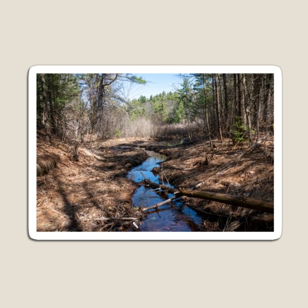 Item preview, Stream Winding Through Hardy Lake Provincial Park, Gravenhurst, Ontario designed and sold by jrtwynam.