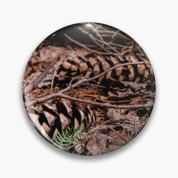 Item preview, Pine Cones Rest in a Forest designed and sold by jrtwynam.