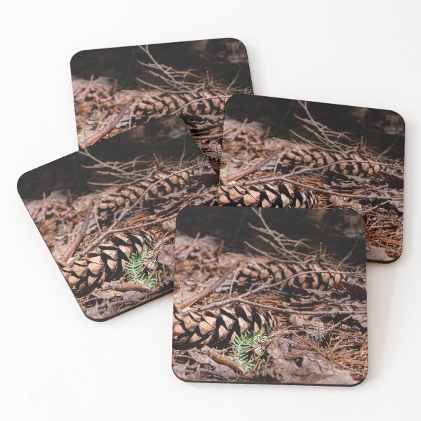 Item preview, Pine Cones Rest in a Forest designed and sold by jrtwynam.