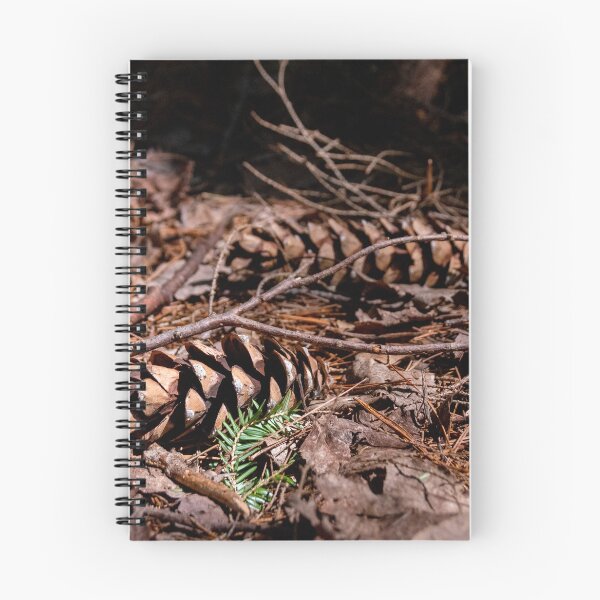 Item preview, Pine Cones Rest in a Forest designed and sold by jrtwynam.