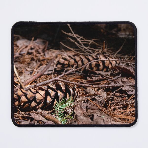 Item preview, Pine Cones Rest in a Forest designed and sold by jrtwynam.