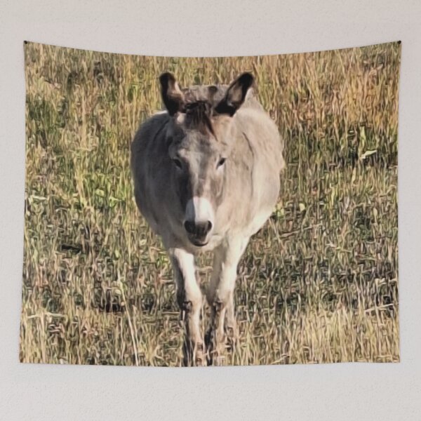 Item preview, Donkey designed and sold by zubsu.
