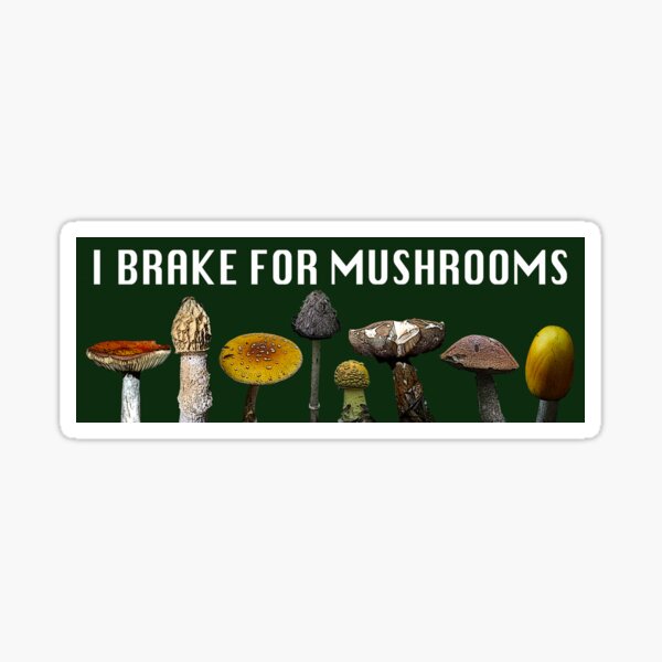 Item preview, I Brake for Mushrooms - Bumper Sticker designed and sold by madihaller.