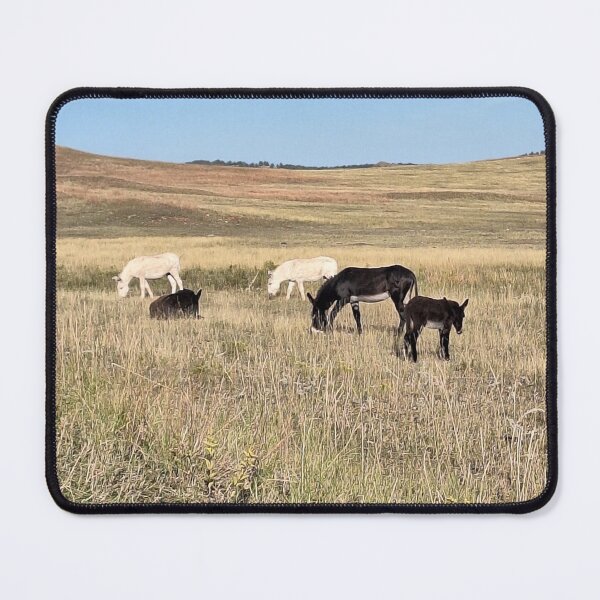 Item preview, Donkeys designed and sold by zubsu.