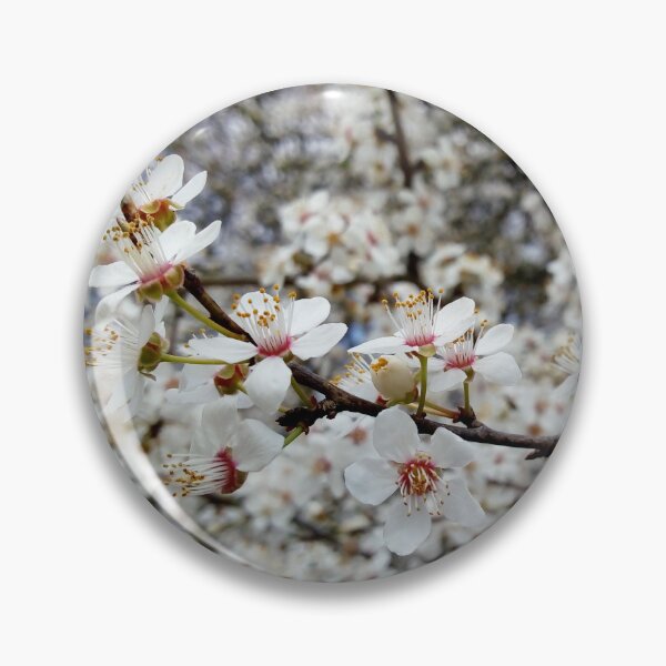 Item preview, Close up of Cherry plum with white blossoms 5 original artwork designed and sold by paragonDesign28.