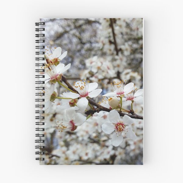Item preview, Close up of Cherry plum with white blossoms 5 original artwork designed and sold by paragonDesign28.
