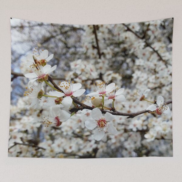 Item preview, Close up of Cherry plum with white blossoms 5 original artwork designed and sold by paragonDesign28.