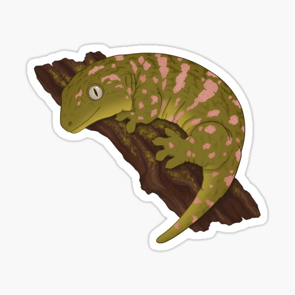 Item preview, New Caledonian Giant Gecko or Leachianus Gecko (Leachie) designed and sold by anacecilia.