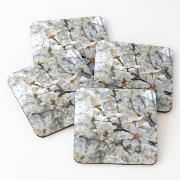 Item preview, Close up of Cherry plum with white blossoms 6 original artwork designed and sold by paragonDesign28.