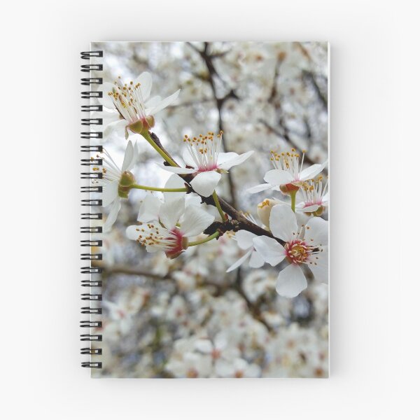 Item preview, Close up of Cherry plum with white blossoms 6 original artwork designed and sold by paragonDesign28.
