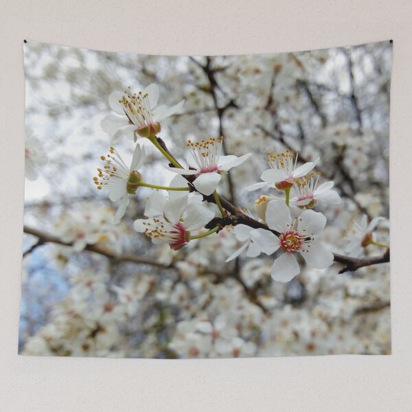 Item preview, Close up of Cherry plum with white blossoms 6 original artwork designed and sold by paragonDesign28.
