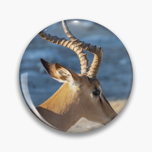Item preview, Namibia. Etosha National Park. Impala. Close-Up.  designed and sold by vadim19.