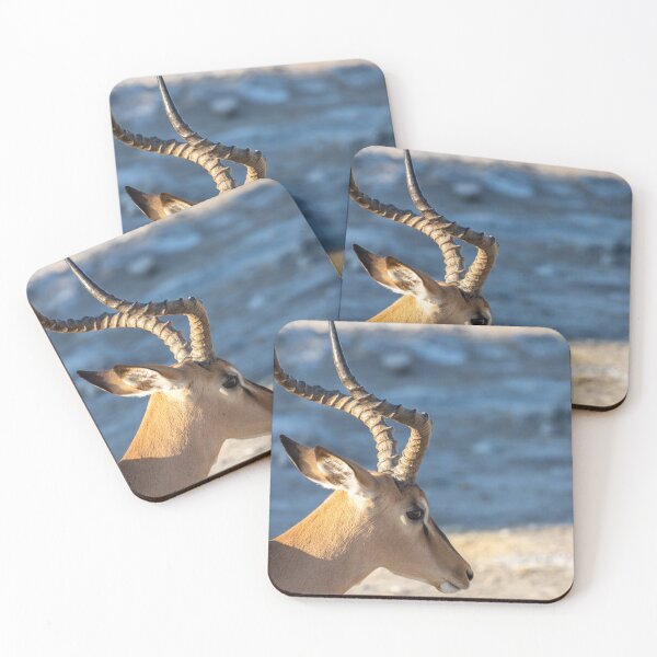 Item preview, Namibia. Etosha National Park. Impala. Close-Up.  designed and sold by vadim19.