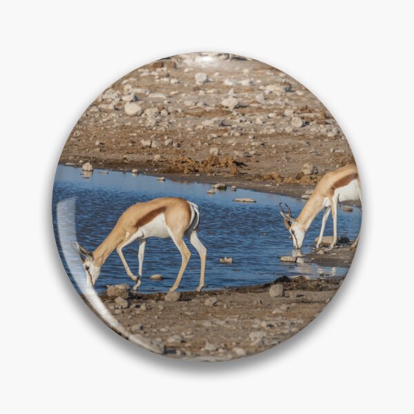 Item preview, Namibia. Etosha National Park. Springboks Drinking at Waterhole.  designed and sold by vadim19.