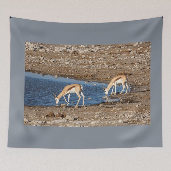 Item preview, Namibia. Etosha National Park. Springboks Drinking at Waterhole.  designed and sold by vadim19.