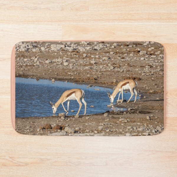 Item preview, Namibia. Etosha National Park. Springboks Drinking at Waterhole.  designed and sold by vadim19.