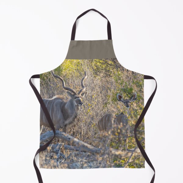 Item preview, Namibia. Etosha National Park. Kudus. designed and sold by vadim19.