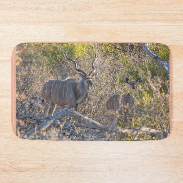Item preview, Namibia. Etosha National Park. Kudus.  designed and sold by vadim19.