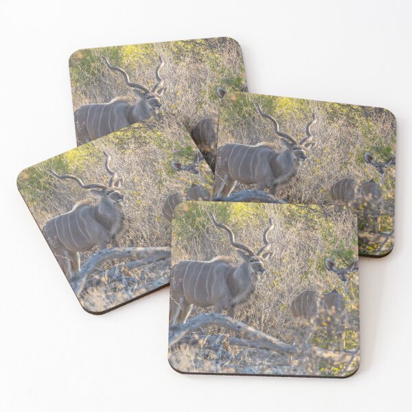 Item preview, Namibia. Etosha National Park. Kudus.  designed and sold by vadim19.