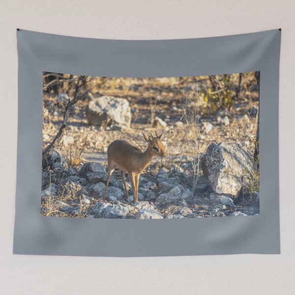 Item preview, Namibia. Etosha National Park. Dik-dik.  designed and sold by vadim19.