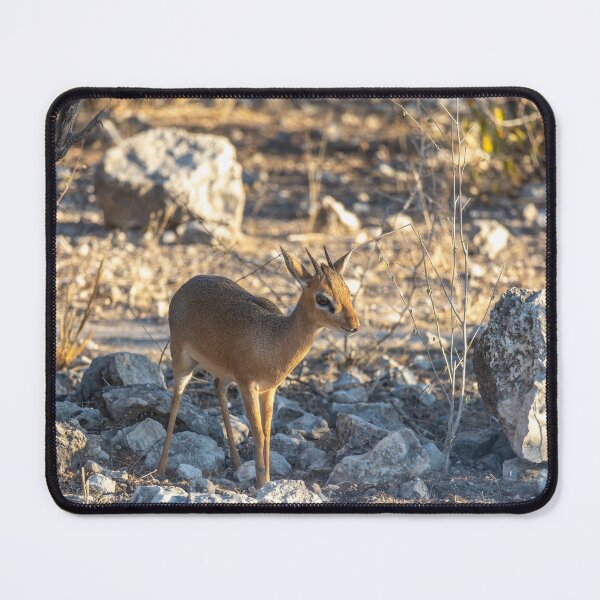 Item preview, Namibia. Etosha National Park. Dik-dik.  designed and sold by vadim19.