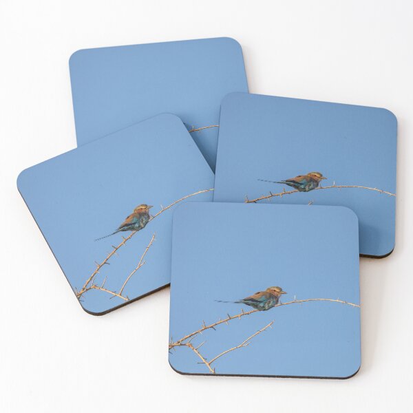 Item preview, Namibia. Etosha National Park. Lilac-Breasted Roller.  designed and sold by vadim19.