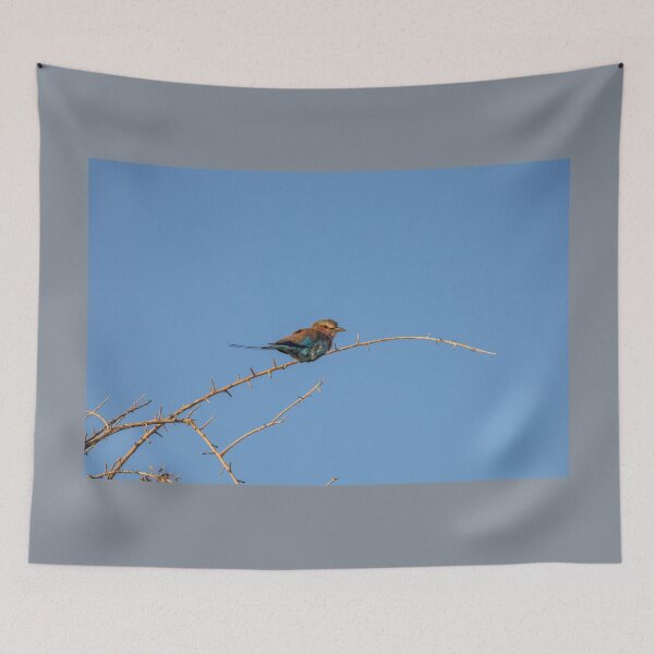 Item preview, Namibia. Etosha National Park. Lilac-Breasted Roller.  designed and sold by vadim19.