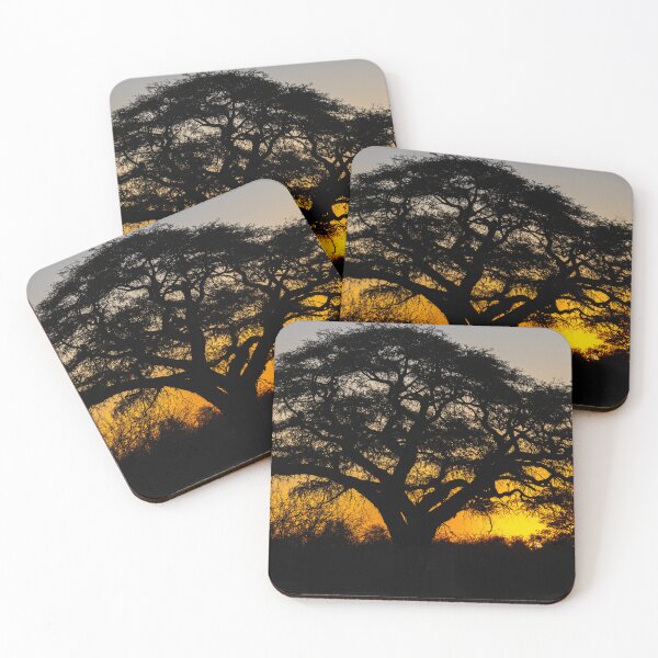 Item preview, Namibia. Etosha National Park. Acacia Tree at Sunset.  designed and sold by vadim19.