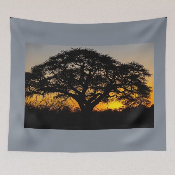 Item preview, Namibia. Etosha National Park. Acacia Tree at Sunset.  designed and sold by vadim19.