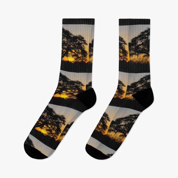 Item preview, Namibia. Etosha National Park. Acacia Tree at Sunset.  designed and sold by vadim19.